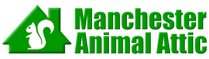 Manchester Animal Attic